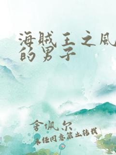 海贼王之风一样的男子