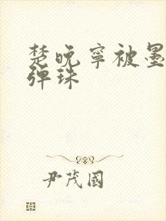 楚晚宁被墨燃塞弹珠