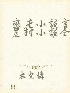 恋老小说言情网农村小说全文阅读