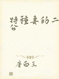 特种妻的二手老公