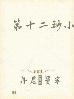 第十二秒小说