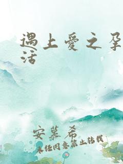 遇上爱之孕夫生活