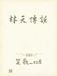 林天传说