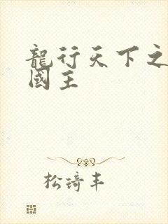 龙行天下之真假国主