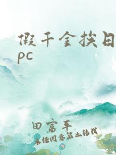 假千金挨日记npc