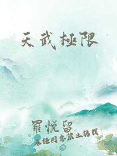 天武极限