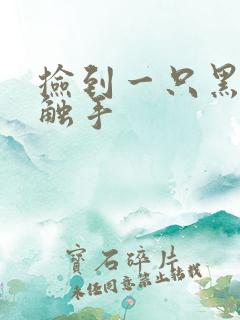 捡到一只黑心小触手