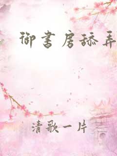 御书房舔弄花心