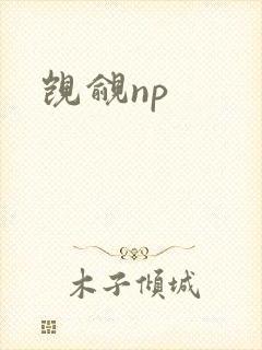觊觎np