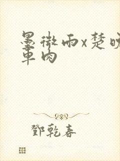 墨微雨x楚晚宁车肉