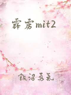 霹雳mit2
