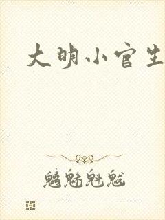 大明小官生活