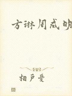 方琳周成明小说
