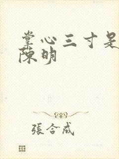 掌心三寸是人间陈明