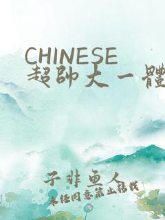 CHINESE超帅大一体育系精牛