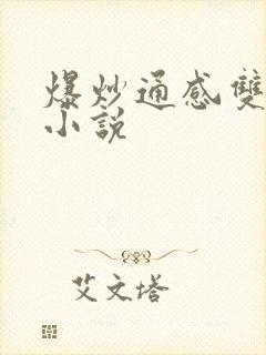 爆炒通感双胞胎小说