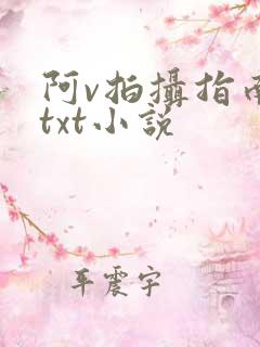 阿v拍摄指南说txt小说