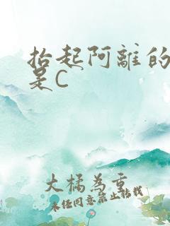 抬起阿离的腿就是C