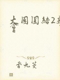 大团圆结2亲情会