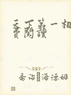 天下第一相书免费阅读
