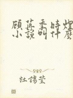 顾苒季时煜电竞小说叫什么名字