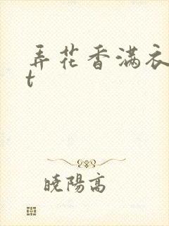 弄花香满衣txt