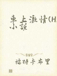 车上激情(H)小说