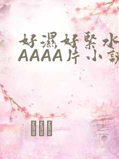 好湿好紧水多AAAAA片小说