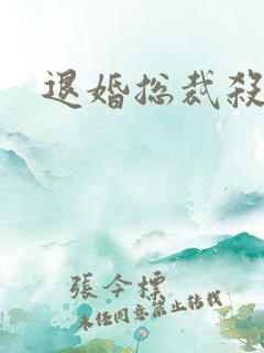 退婚总裁杀手妻