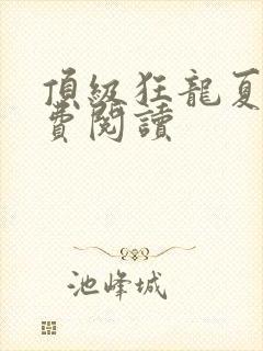 顶级狂龙夏天免费阅读