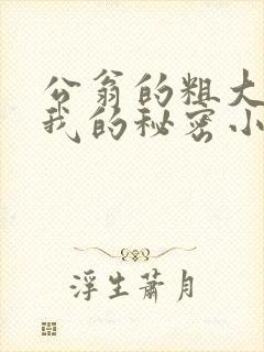 公翁的粗大放进我的秘密小说