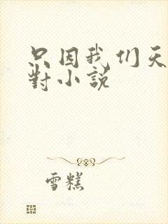 只因我们天生一对小说