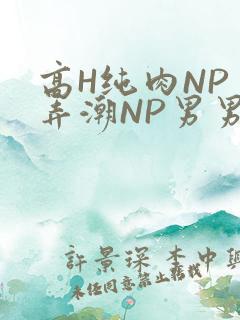 高H纯肉NP 弄潮NP男男