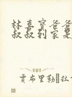 林喜宝爸爸叫李叔叔到家是哪一集