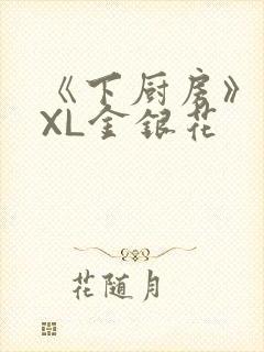 《下厨房》 TXL金银花