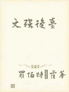 文强后台