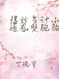 爆炒多汁小美人通感双胞胎燎锋