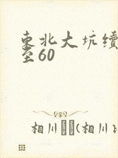 东北大坑续集1至60