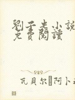 刘子光小说全文免费阅读