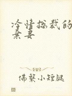 冷情总裁的新婚弃妻