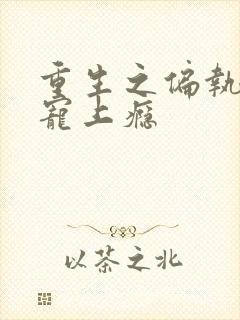 重生之偏执老公宠上瘾