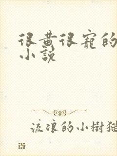 很黄很宠的总裁小说