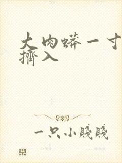 大肉蟒一寸一寸挤入