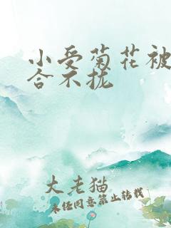 小受菊花被双龙合不拢