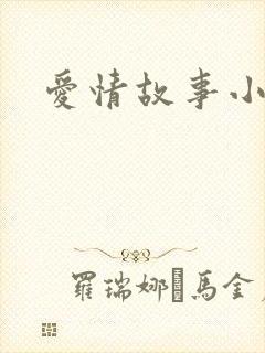 爱情故事小说