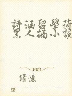 诗涵留学荷兰被黑人摘小说