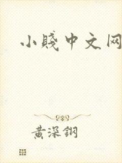 小贱中文网