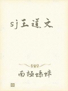 sj王道文