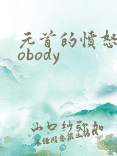 元首的愤怒之nobody