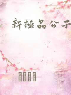新极品公子